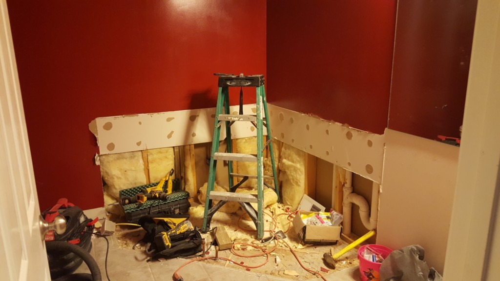 Master Bath During Remodel