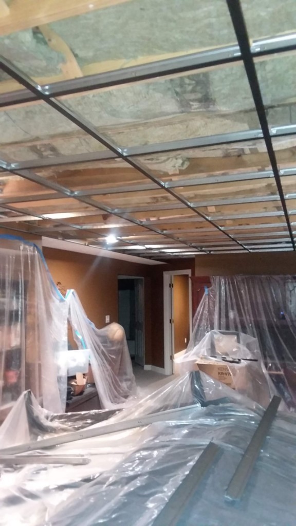Basement Ceiling During