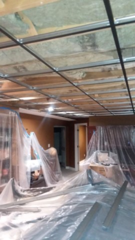 Basement Ceiling During